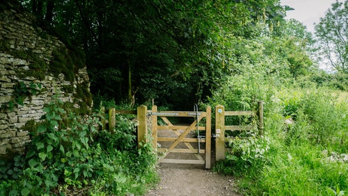 Accessible gate on a path running through green grass and fields.